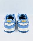 Nike Dunk Low Coast SA Sneakers