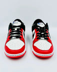 Nike Dunk Low EMB NBA 75th Anniversary Chicago  SA Sneakers