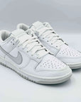 Nike Dunk Low Retro White Pure Platinum SA Sneakers
