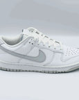 Nike Dunk Low Retro White Pure Platinum SA Sneakers