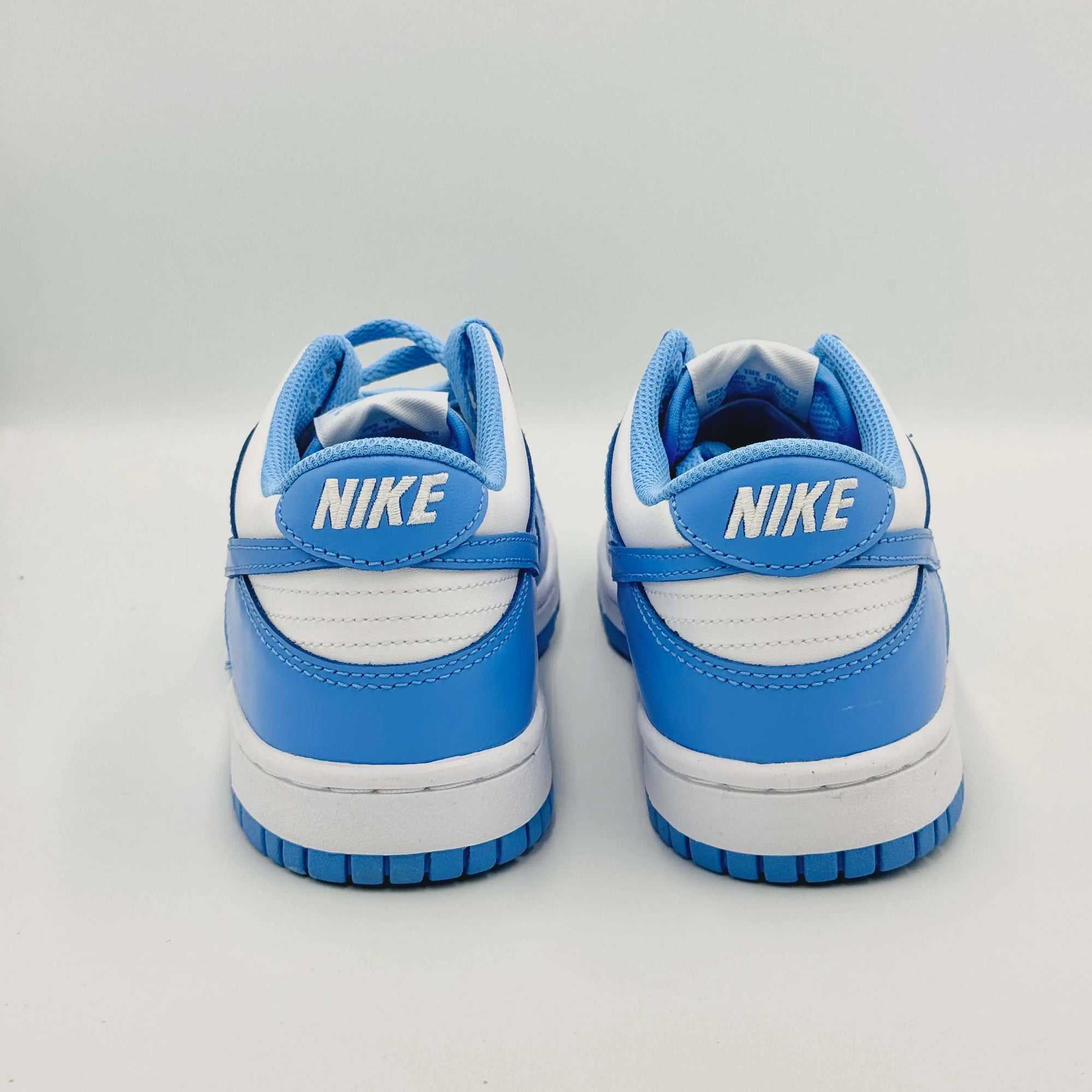Nike Dunk Low UNC (GS)  SA Sneakers