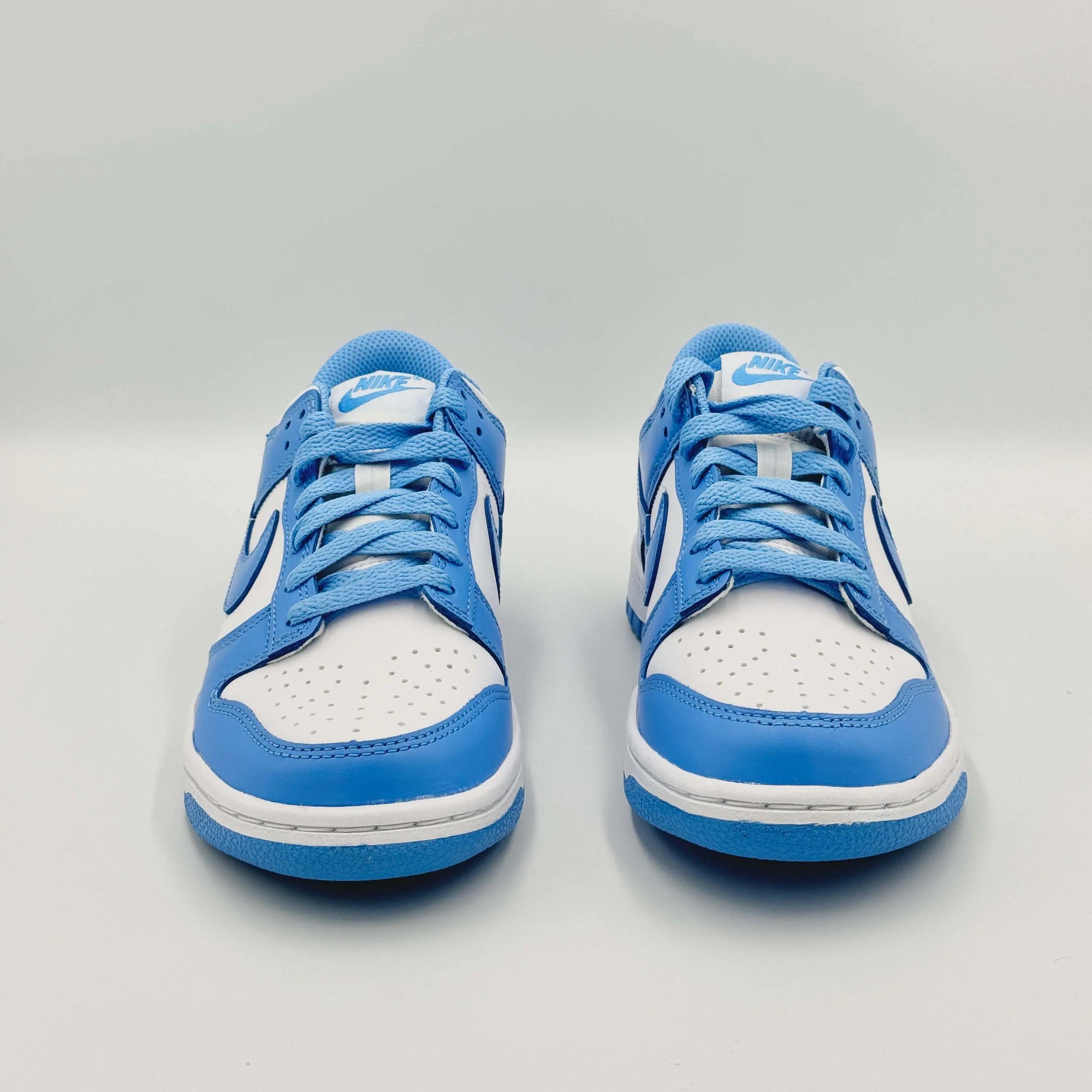 Nike Dunk Low UNC (GS)  SA Sneakers