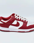 Nike Dunk Low USC SA Sneakers
