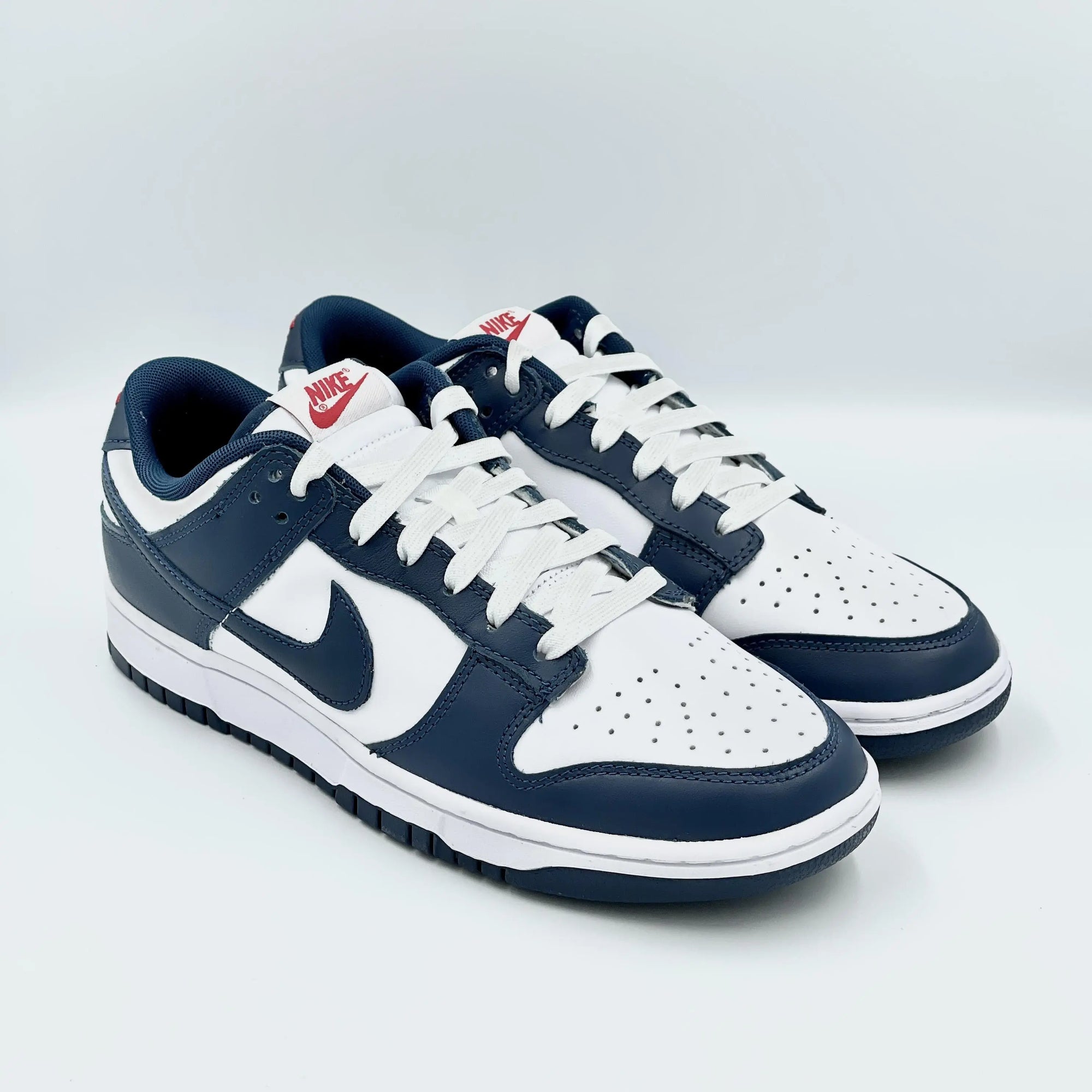 Nike Dunk Low Valerian Blue  SA Sneakers
