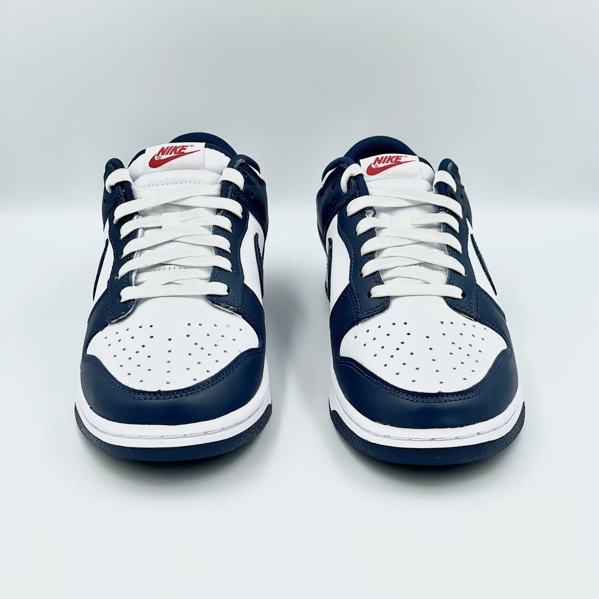 Nike Dunk Low Valerian Blue  SA Sneakers