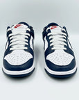 Nike Dunk Low Valerian Blue SA Sneakers