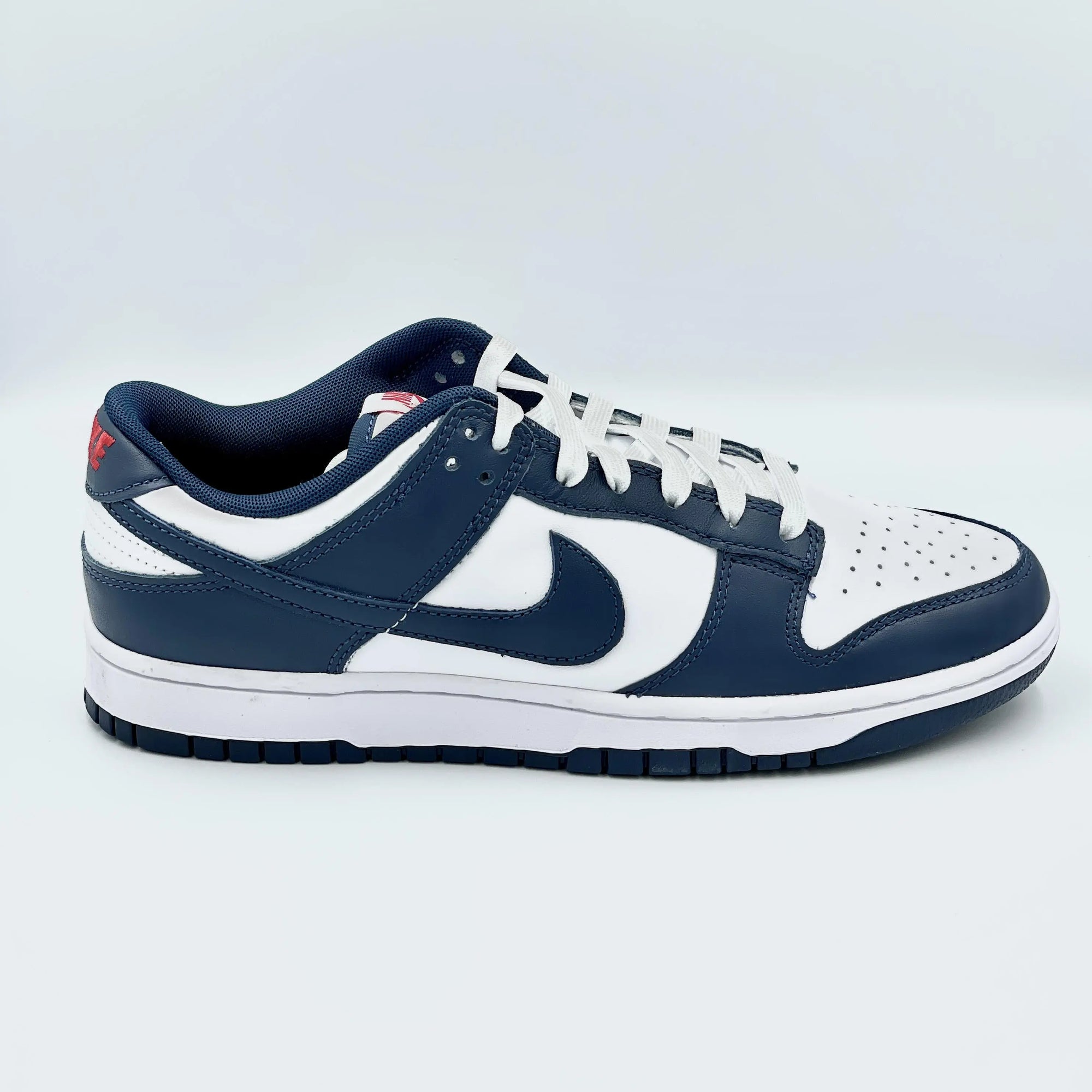 Nike Dunk Low Valerian Blue  SA Sneakers