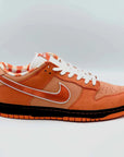 Nike SB Dunk Low Concepts Orange Lobster  SA Sneakers