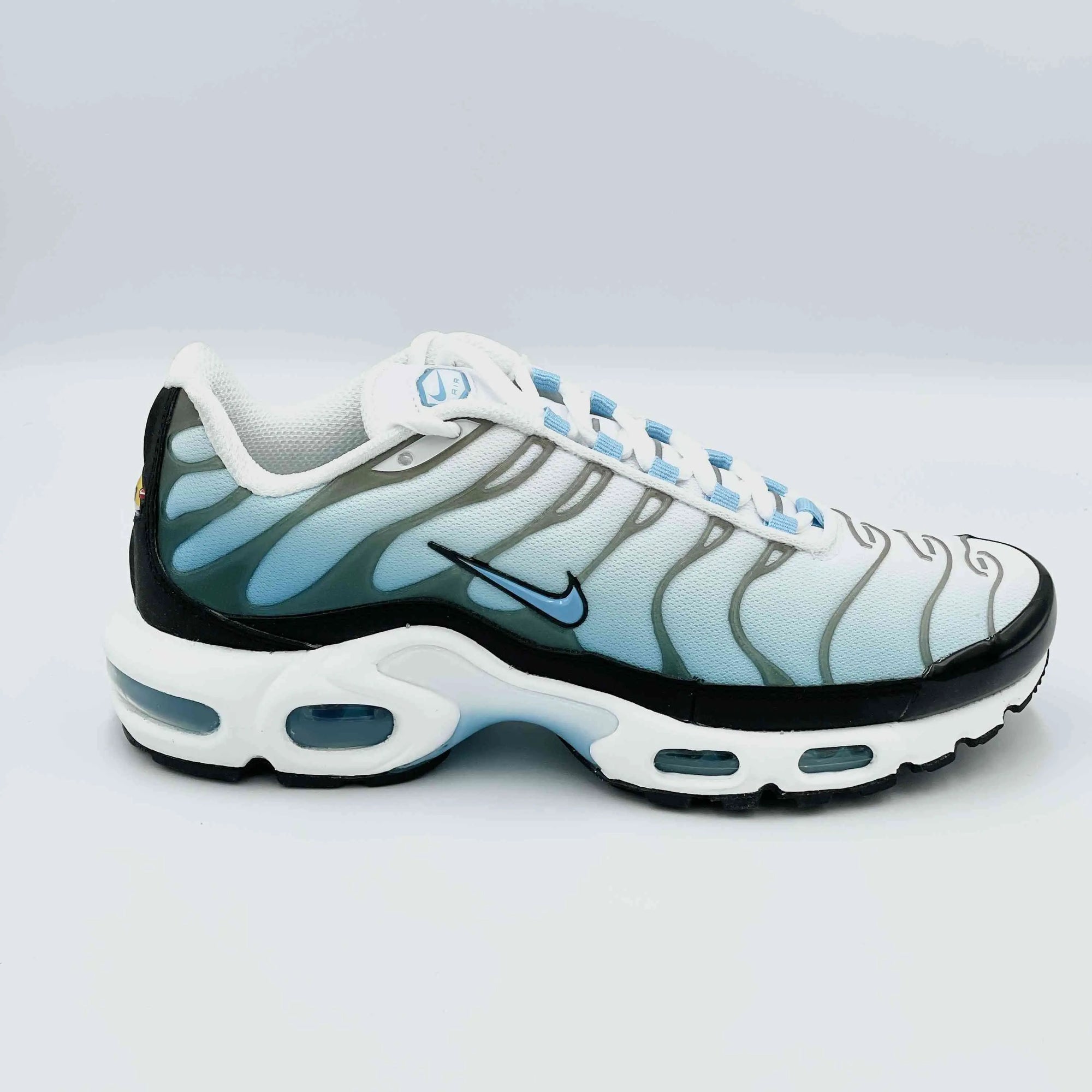 Nike TN Air Max Plus Baltic Blue  SA Sneakers