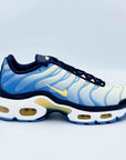 Nike TN Air Max Plus University Blue Topaz Gold  SA Sneakers