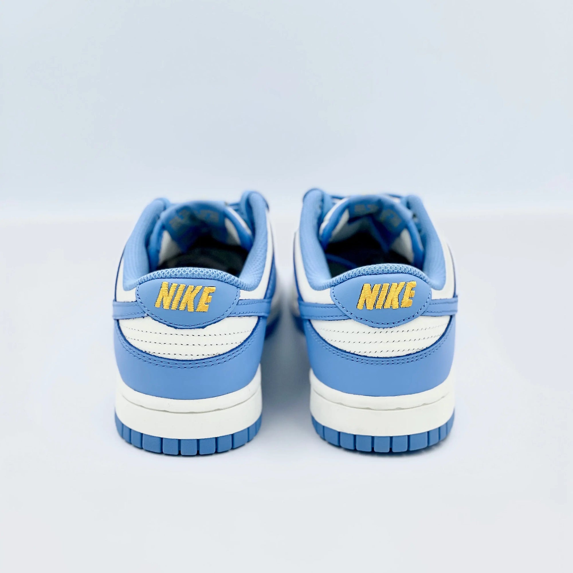 Nike Dunk Low Coast  SA Sneakers