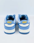 Nike Dunk Low Coast  SA Sneakers