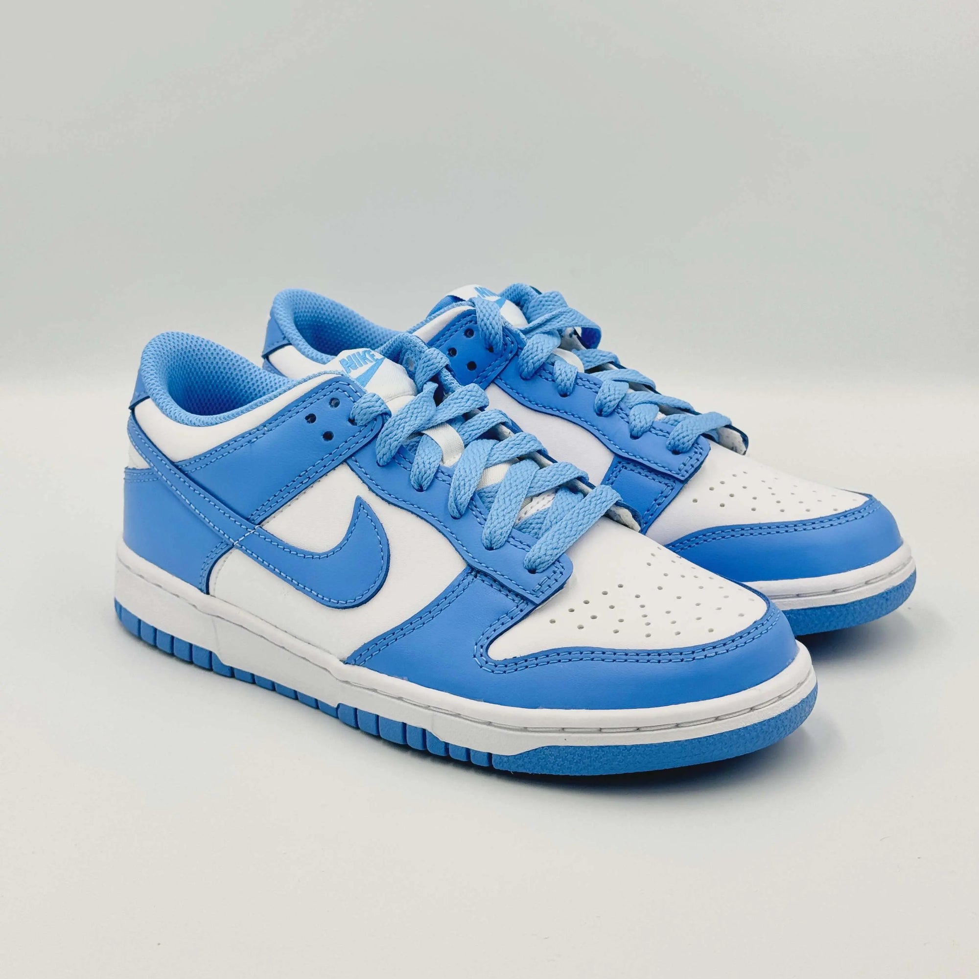 Nike Dunk Low UNC (GS)  SA Sneakers