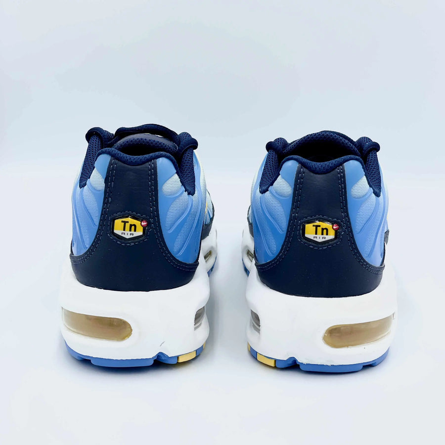 Nike TN Air Max Plus University Blue Topaz Gold  SA Sneakers